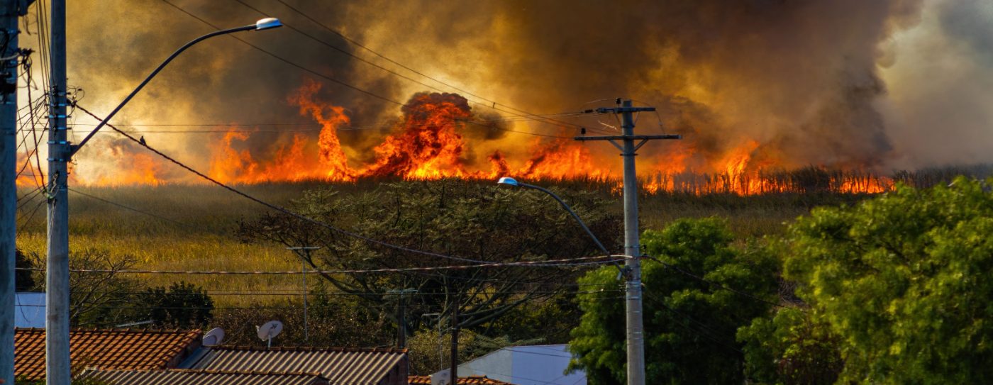 Fire in cane behind power lines and rooftops