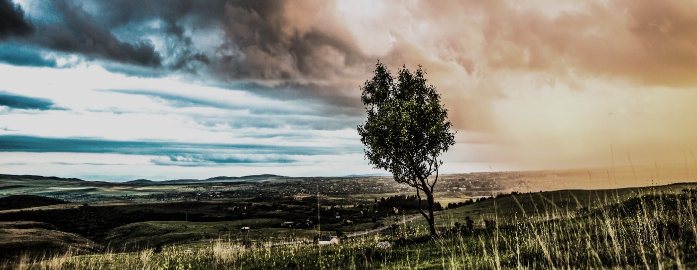 A lone tree on open grassland under a turning storm sky